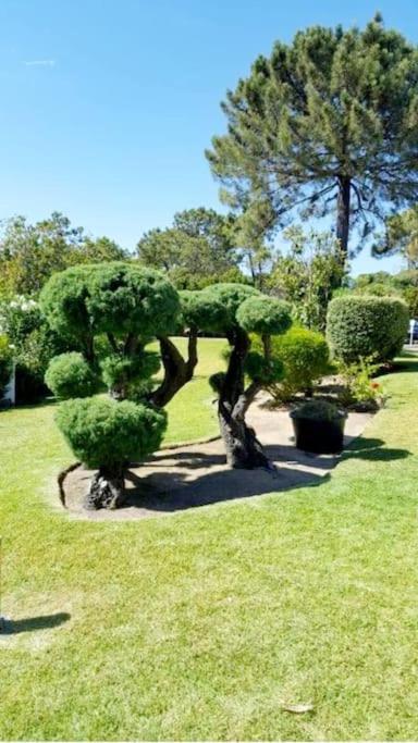 Victory Village Club,Quinta Do Lago 楼尔 外观 照片